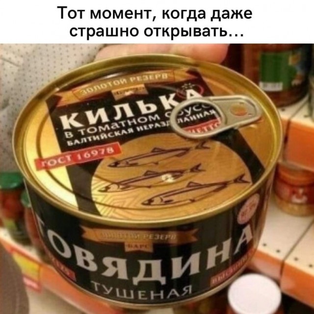Весёлый полтишок 08.07.22