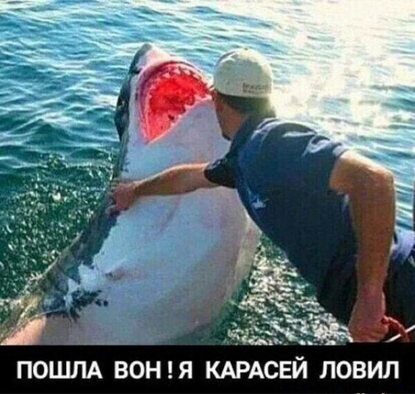 Юмор в картинках и без 05.08.22