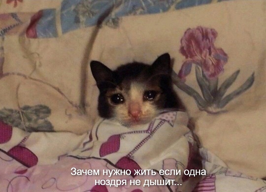 3 этапа жизни
