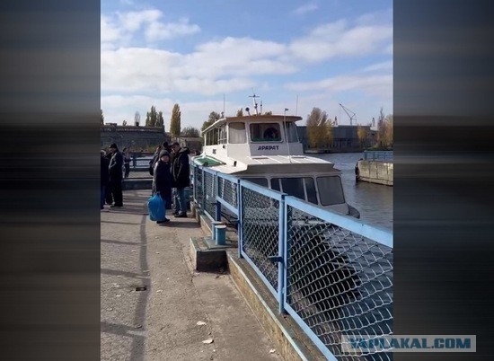 Победная поступь идиотизма по планете.