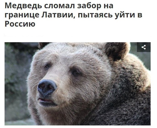 Неожиданно
