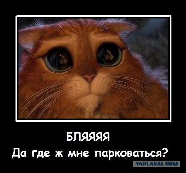 Как мы троллили Генпрокуратуру часть 2