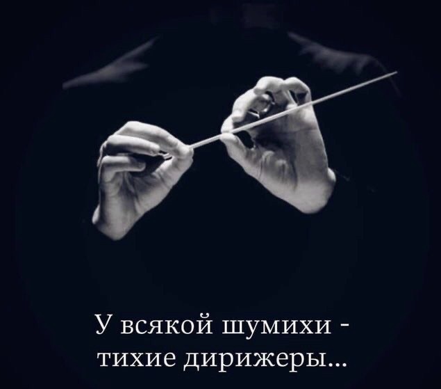 «Бздила картонная, собирайся и дуй на фронт. Покажи, на что ты способен, болтун безмозглый».