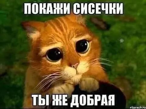 Юмор в картинках и без 23.06