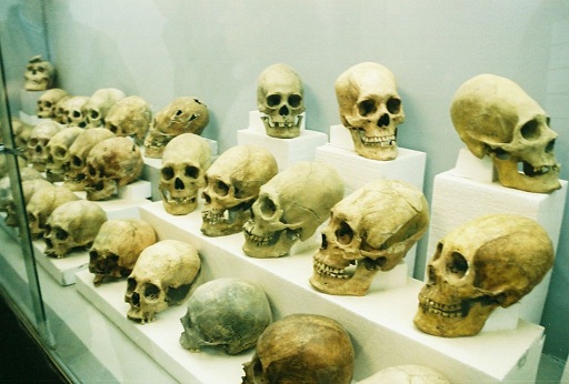 Кратко о Ануннаках. Самое важное!