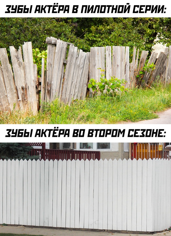 Весёлый полтишок 09.11.23