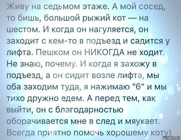 Отряд быстрого деградирования