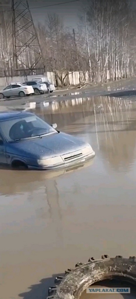 Спасатели и спасаемые