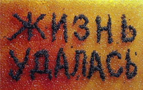 Прикольные и просто красивые картинки 17.05.2024