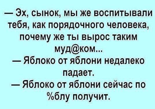 Всего понемногу. От 21.11.2024.