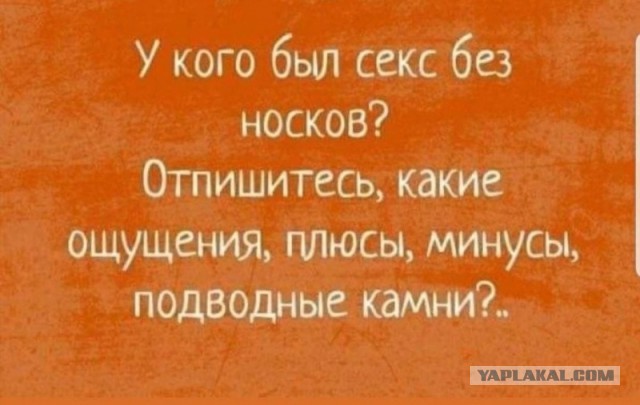 Так себе картинки 25.11.24