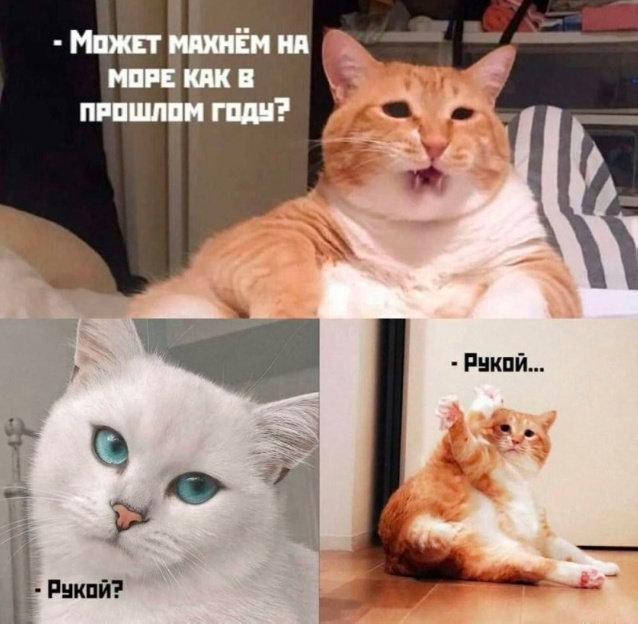 Так себе картинки 31.12.24