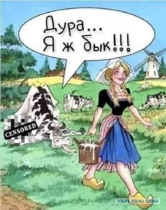 Баяны, очень баяны, но думаю улыбнёт