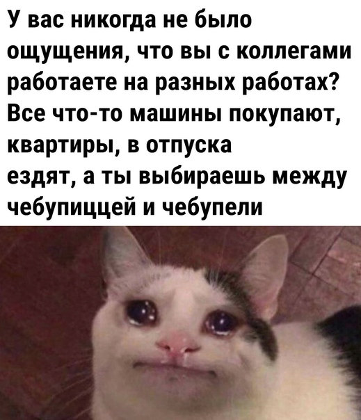 Картинки для деградации 7 (разной степени свежести)