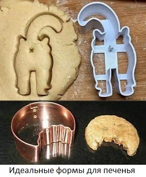 Веселое настроение в картинках (11.08.2025)