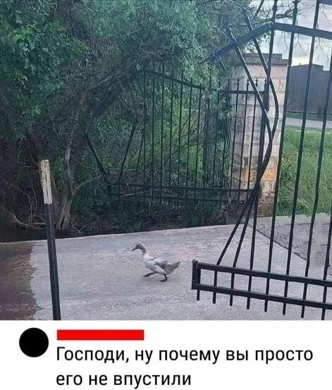 Папа, а кто такой диктатор?