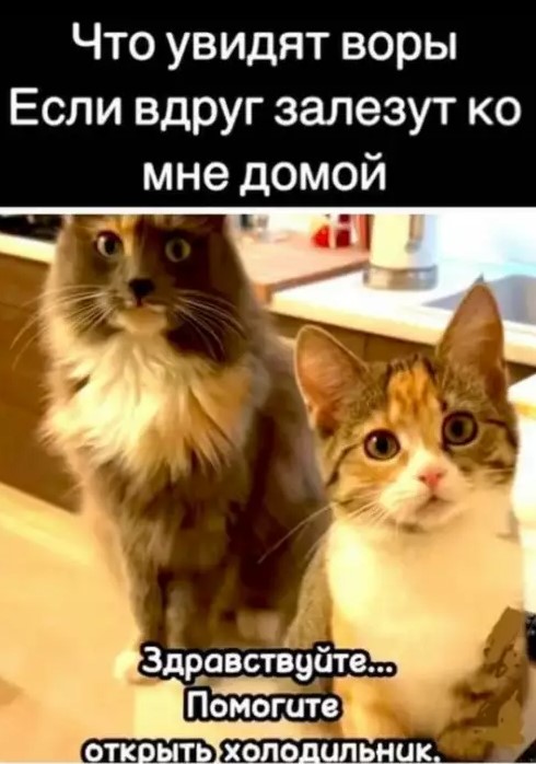 Картиночки, баянчики 14 марта