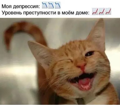 Котямбосы