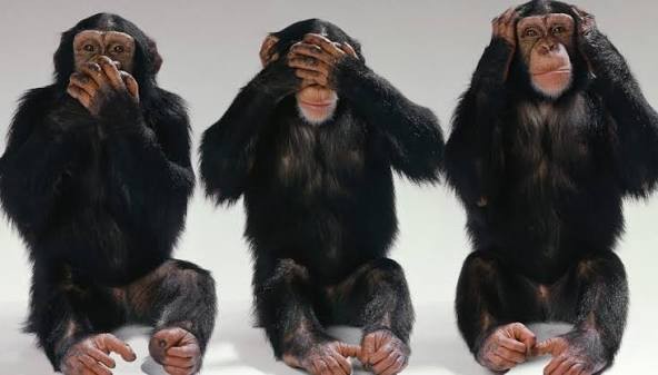 В ГД внесут законопроект об ограничении информации о нападениях в школах