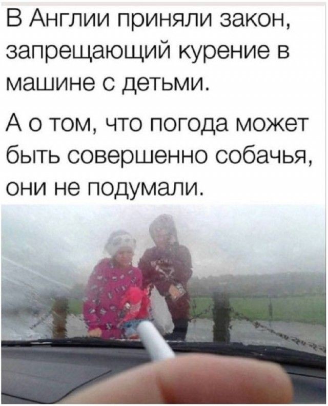 Картинки без критики