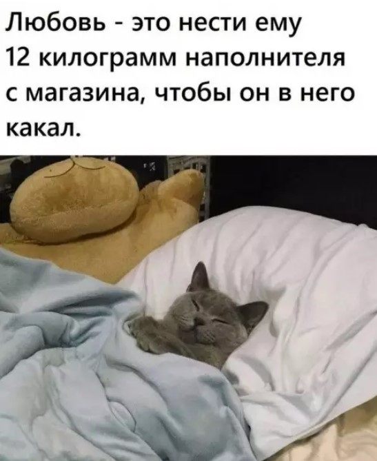 Картиночки, баянчики 01 июня