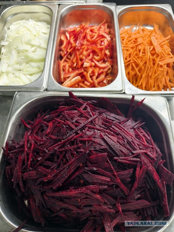 Трактат о борще без мяса и на воде