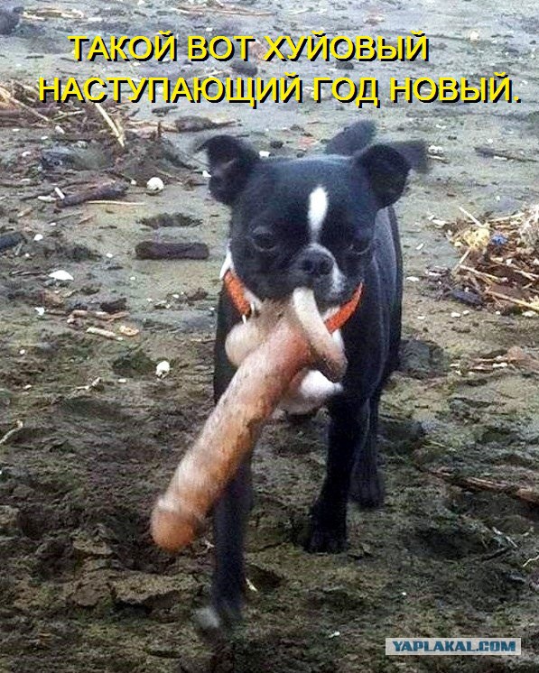 Охуи....ная находка