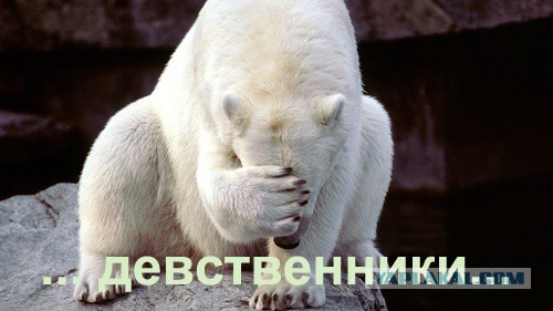 Я люблю одновременно троих мужчин