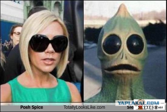 Смешные картинки и комментарии