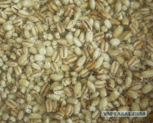 Вспомним,мужики?!