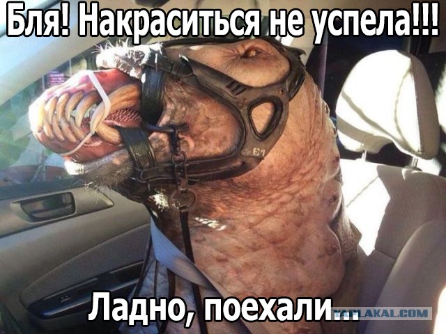 Что за зверь?