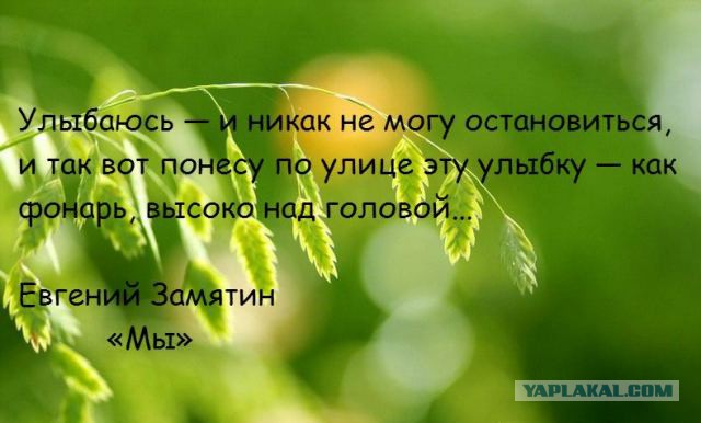 Когда вы плюсуeтe тему в платине