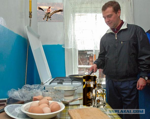 Фотожаба: Медведев жарит яишницу