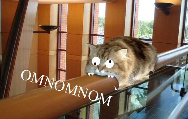 Монорельсовый кот