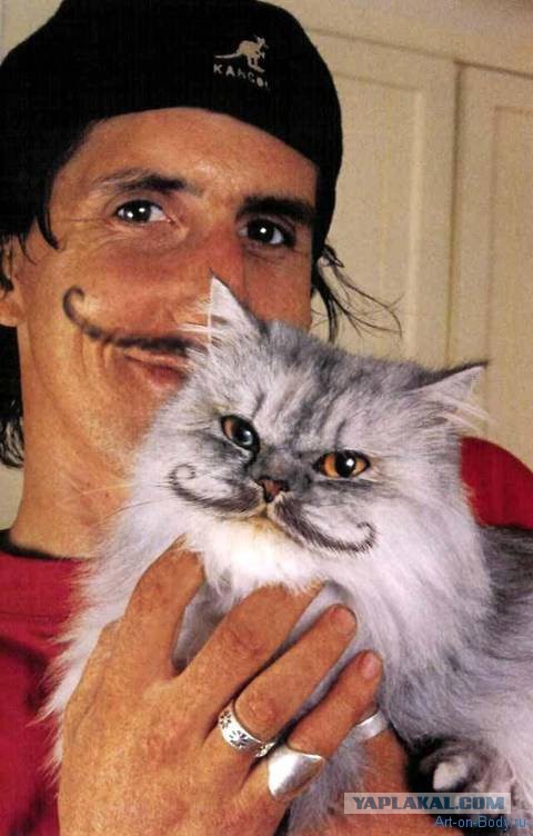 Пандакотинум