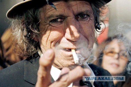 Знаменитости в эйфории.