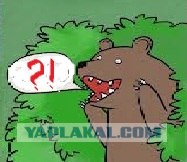 "Обнимашки" за долларовые бумажки