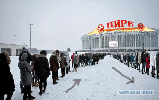 Фрики в Питере или фанаты Гаги