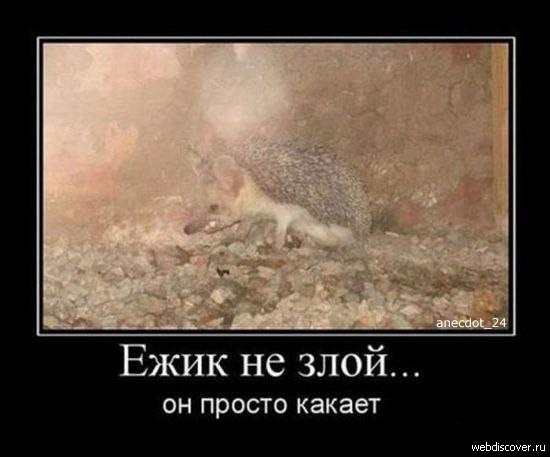 Языческие боги