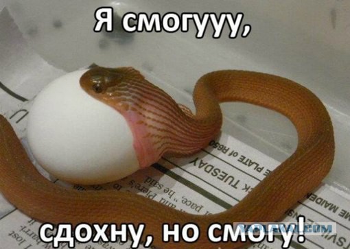 Спрос рождает предложение