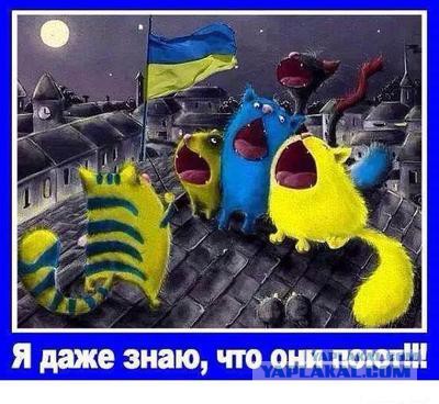 10 политических картинок часть 11