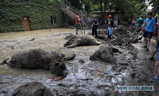 Как откапывали прошлую культуру