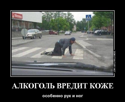 Подборка прикольных фото на пятницу