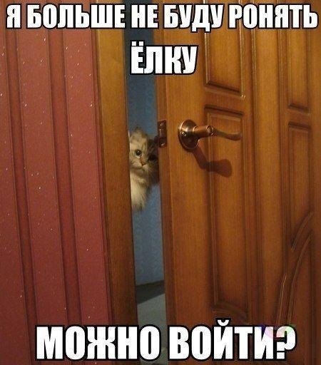 Подборка прикольных фото на пятницу