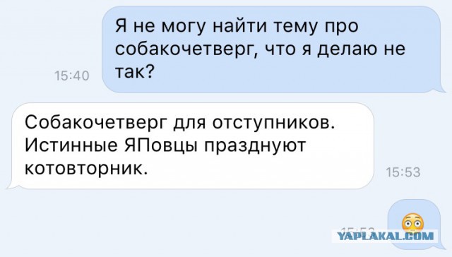 Собакочетверг же, ау!