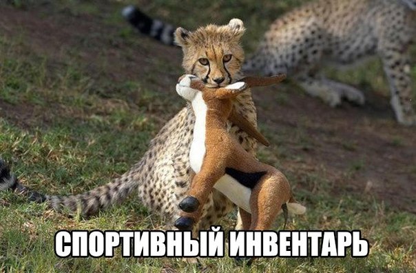 Разные картинки