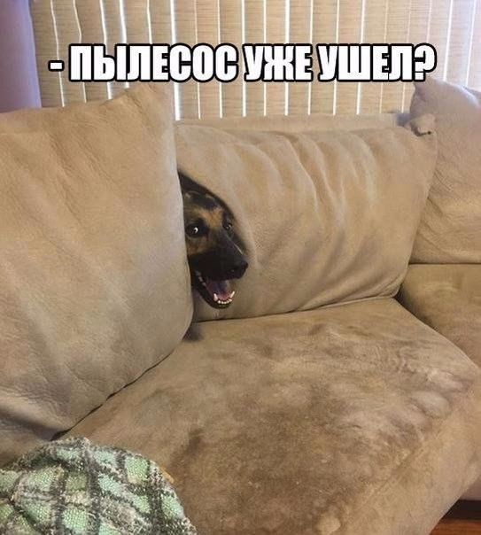 Подборка Картинок из сети