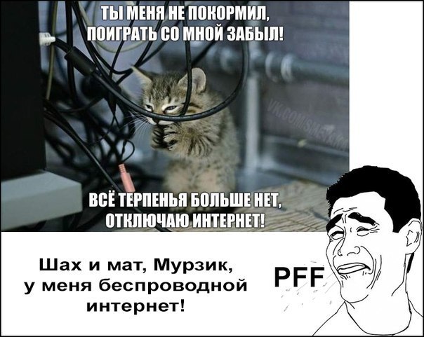 Веселые картинки