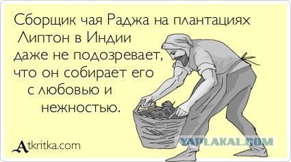 Злые шутки или минутка сарказма на ЯП-е, 16+