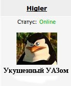 Уаз едет под водой